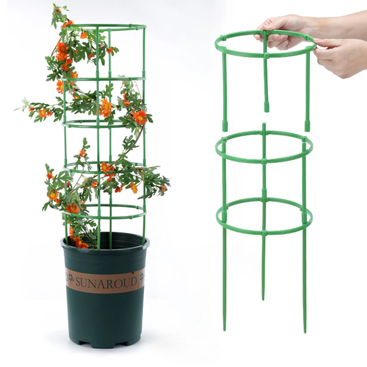 No-Fuss Plant Supports – Simple, Sturdy Garden Stability