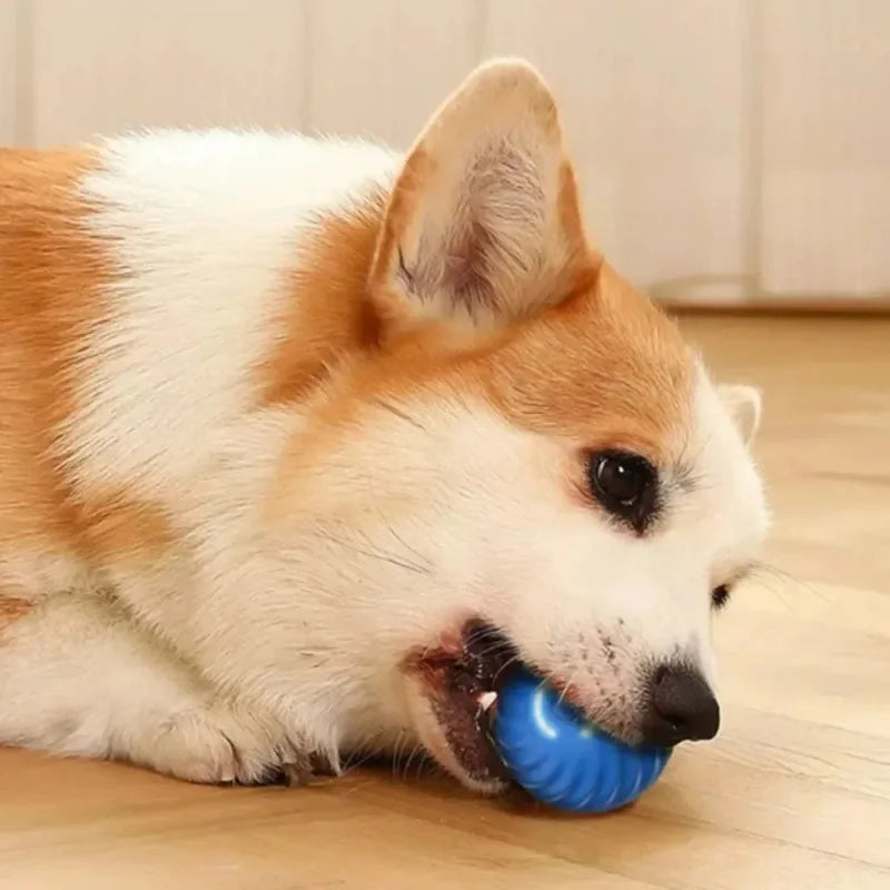 Automatic Bouncing Dog Toy Ball – USB Smart Rolling Chew Ball for Puppies