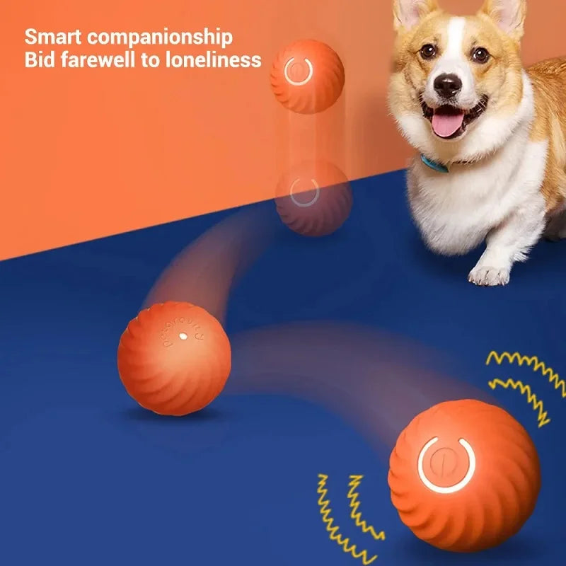 Automatic Bouncing Dog Toy Ball – USB Smart Rolling Chew Ball for Puppies
