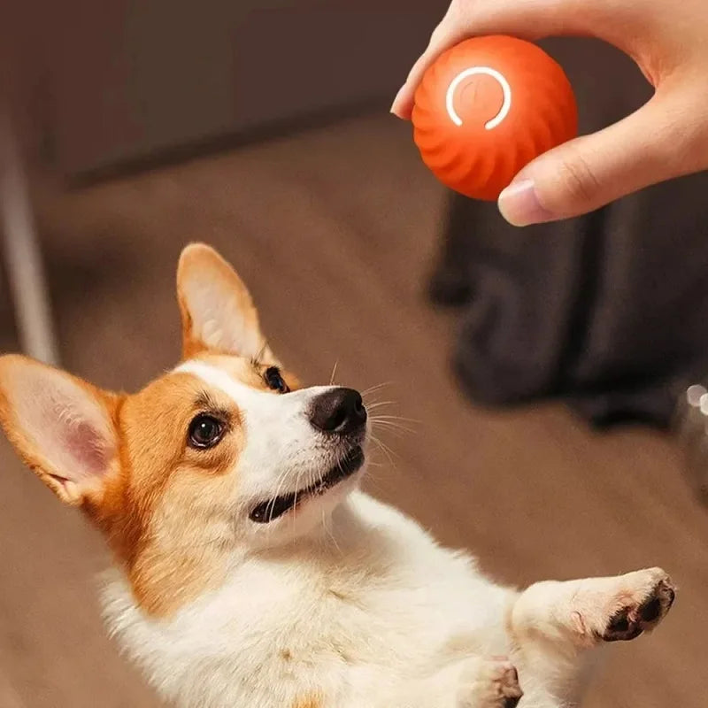 Automatic Bouncing Dog Toy Ball – USB Smart Rolling Chew Ball for Puppies