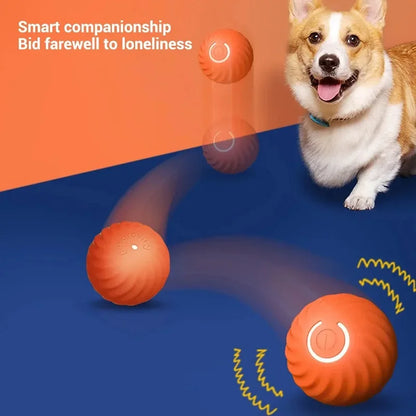 Automatic Bouncing Dog Toy Ball – USB Smart Rolling Chew Ball for Puppies