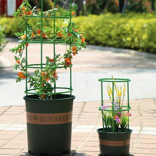 No-Fuss Plant Supports – Simple, Sturdy Garden Stability